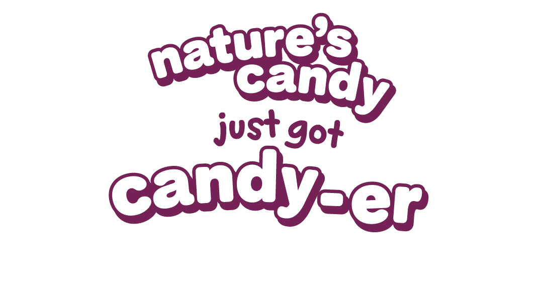 FR CA Website - Header Content - Header Tex2